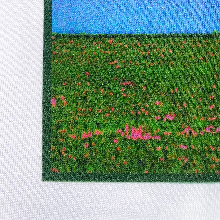 CALMECS T-SHIRT IN COLOR WHITE WITH BACK GRAPHIC PRINT. BLUE AND GREEN GRAPHIC CLOSE UP.