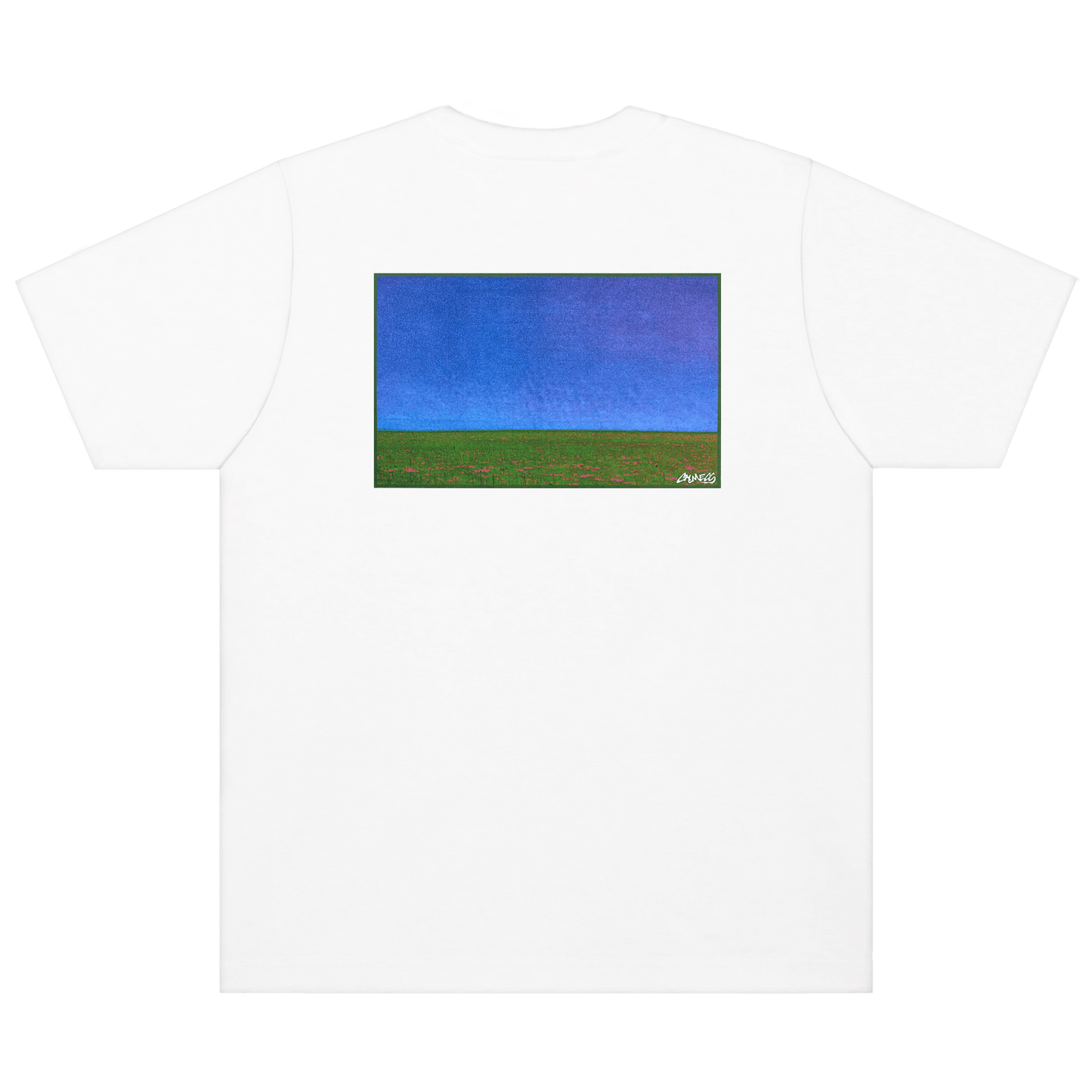 CALMECS T-SHIRT IN COLOR WHITE WITH BACK GRAPHIC PRINT. CALMECS LOGO.